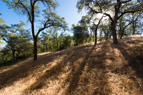 1031 Trails End Dr, Placerville, CA 95667
