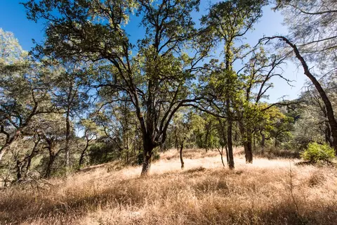 1031 Trails End Dr, Placerville, CA 95667 photo 6