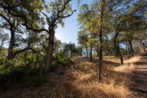 1031 Trails End Dr, Placerville, CA 95667 photo 4