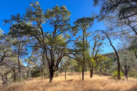 1031 Trails End Dr, Placerville, CA 95667 photo 8
