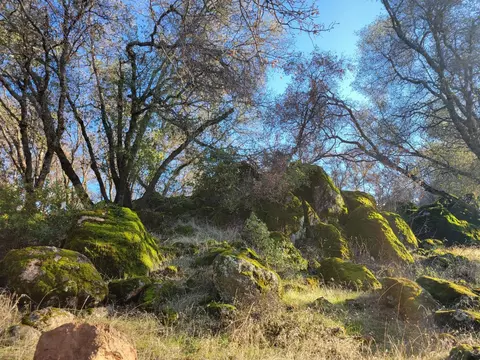 19838 Perimeter Rd, Grass Valley, CA 95949 photo 12