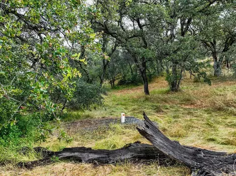19838 Perimeter Rd, Grass Valley, CA 95949 photo 11