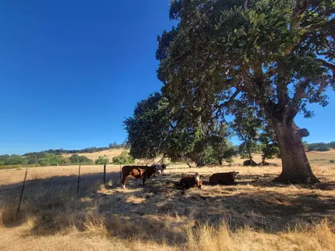 19838 Perimeter Rd, Grass Valley, CA 95949 photo 16