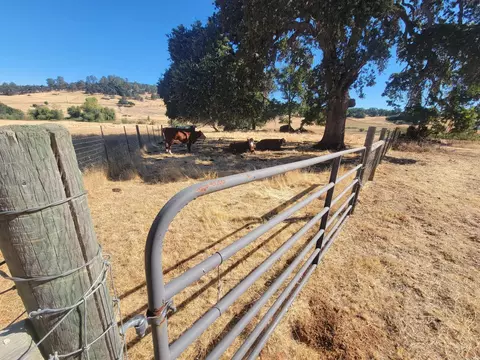 19838 Perimeter Rd, Grass Valley, CA 95949 photo 15