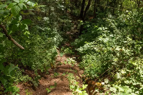 3560 Mining Brook Rd, Placerville, CA 95667 photo 59