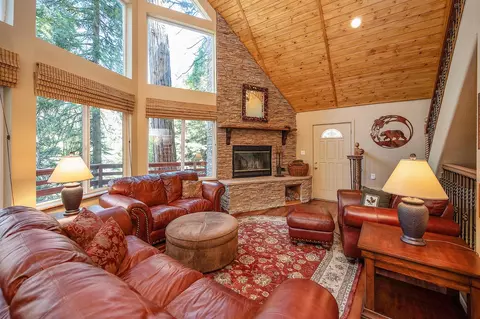 Living - 4110 Ottawa Dr, Camp Connell, CA 95223 photo 2 of 5