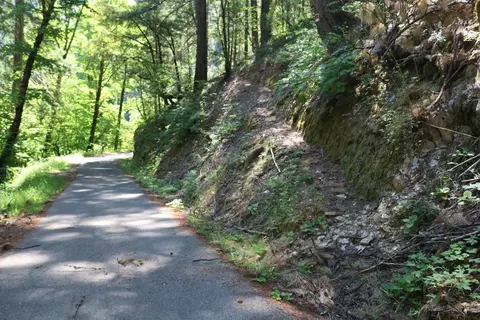 543 Main, Downieville, CA 95936
