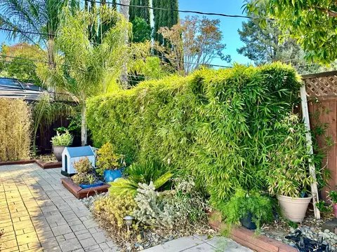 Exterior - 4361 Armand Dr, Concord, CA 94521 photo 7 of 8
