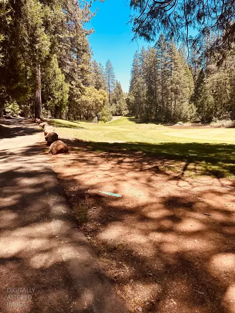 633 Forest Meadows Dr, Murphys, CA 95247