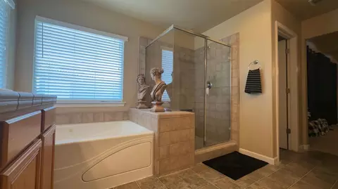Bath - 16621 Victorian Trl, Lathrop, CA 95330 photo 2 of 3