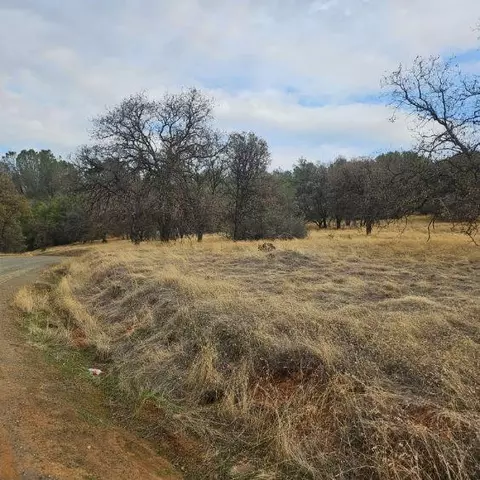 0 Lot10 Potter Ravine Shores Sub, Oroville, CA 95965 photo 3