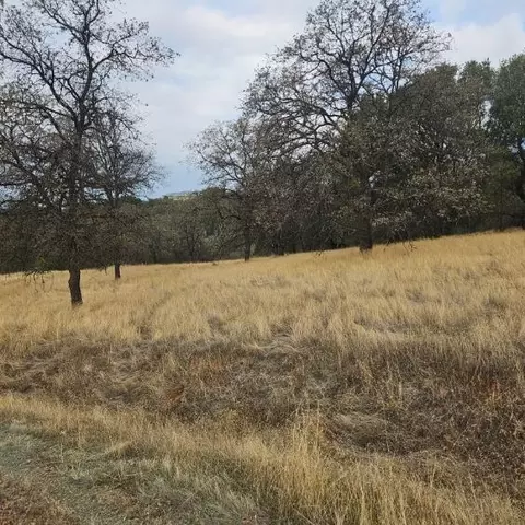 0 Lot10 Potter Ravine Shores Sub, Oroville, CA 95965 photo 5