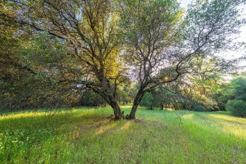 18566 Gopher Ln, Grass Valley, CA 95949 photo 18