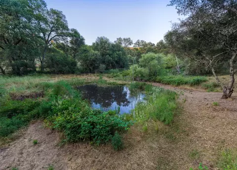 18566 Gopher Ln, Grass Valley, CA 95949 photo 26