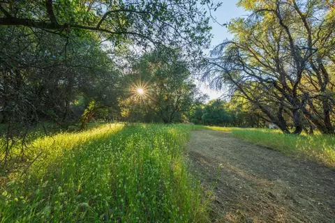 18566 Gopher Ln, Grass Valley, CA 95949 photo 16