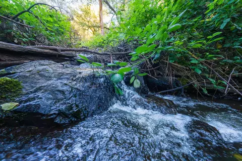 18566 Gopher Ln, Grass Valley, CA 95949 photo 8