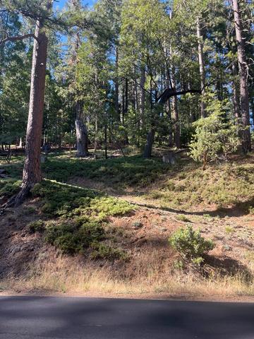 2216 Chaparral Dr, Arnold, CA 95223