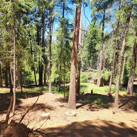 5741 Lupin Ln, Pollock Pines, CA 95726