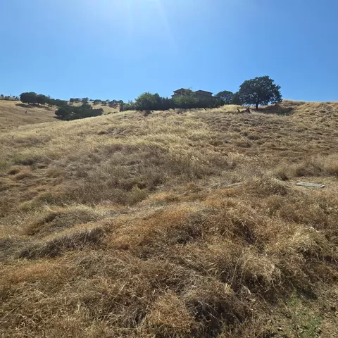 9421 Morton Davis Dr, Patterson, CA 95363