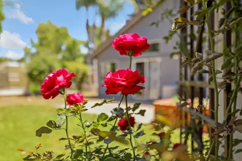 Exterior - 1935 Foxtail Ct, Tracy, CA 95376 photo 15 of 18