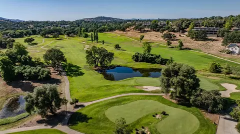 View/Area - 648 Edgewood Loop, Angels Camp, CA 95222 photo 1 of 8