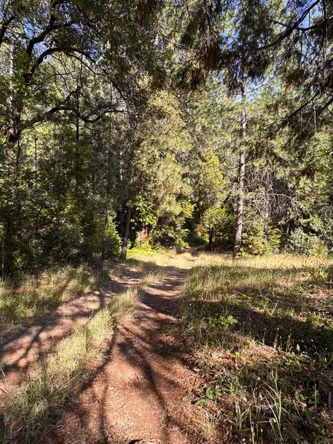 16492 Indiana Ranch Rd, Dobbins, CA 95935