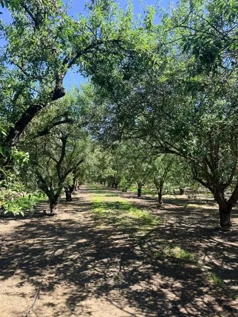 4800 Service Rd, Ceres, CA 95307 photo 7