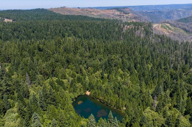 10075 White Fir Rd, Georgetown, CA 95634
