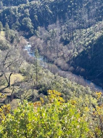 3201 Toyonberry Ln, El Dorado, CA 95623