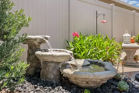 Exterior - 1577 River Birch St, Manteca, CA 95336 photo 9 of 12