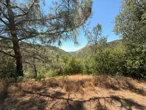 4441 Mountain Ranch Rd, San Andreas, CA 95249 photo 28