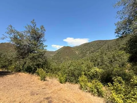 4441 Mountain Ranch Rd, San Andreas, CA 95249 photo 23