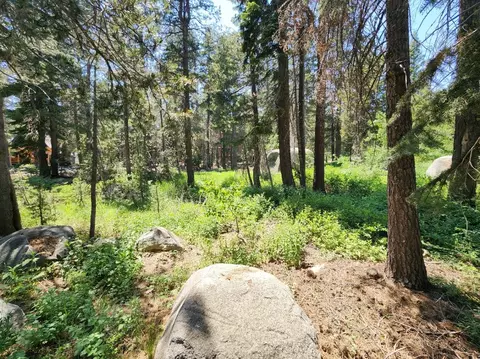 5 Monty Wolf Rd, Bear Valley, CA 95223
