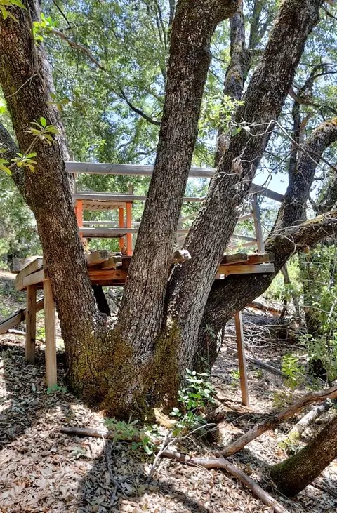 Other - 12825 Mierkey Rd, Pine Grove, CA 95665 photo 16 of 17
