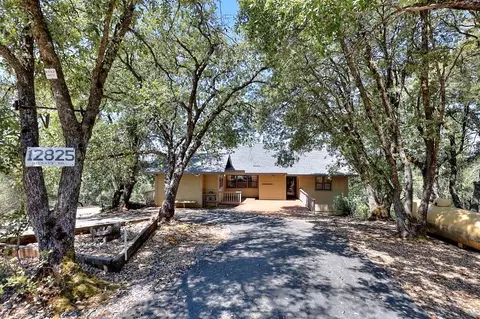 Exterior - 12825 Mierkey Rd, Pine Grove, CA 95665 photo 3 of 26