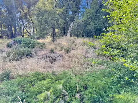 15340 Brewer Rd, Grass Valley, CA 95949 photo 4