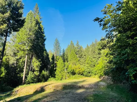 12846 Alpha Loop, Washington, CA 95986 photo 3