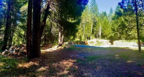 12846 Alpha Loop, Washington, CA 95986 photo 4