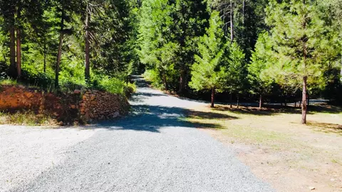 12846 Alpha Loop, Washington, CA 95986 photo 5