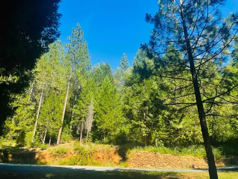 12846 Alpha Loop, Washington, CA 95986 photo 6