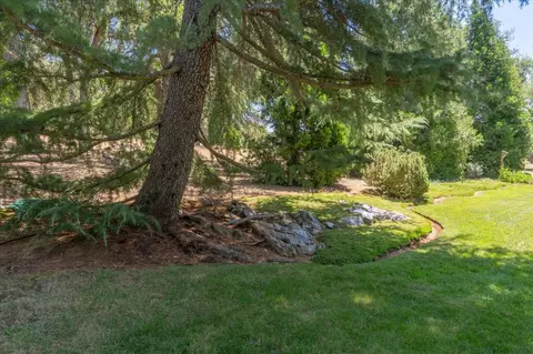 Exterior - 830 Stella Dr, Murphys, CA 95247 photo 11 of 13