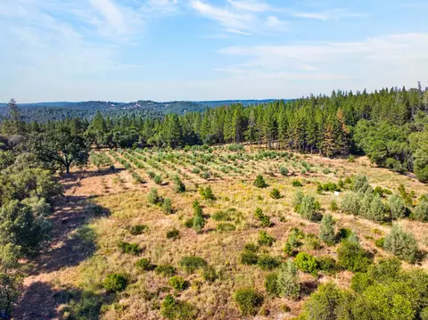 View/Area - 4016 Twin Ridges Rd, Placerville, CA 95667 photo 15 of 18