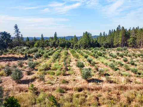 Other - 4016 Twin Ridges Rd, Placerville, CA 95667 photo 25 of 26