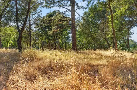 Other - 4016 Twin Ridges Rd, Placerville, CA 95667 photo 14 of 26