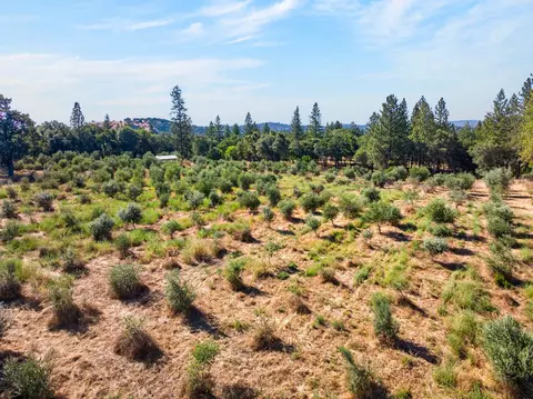 View/Area - 4016 Twin Ridges Rd, Placerville, CA 95667 photo 16 of 18