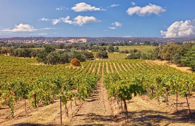 0 Shenandoah School Rd, Plymouth, CA 95669