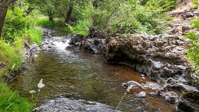 17422 Scopar Rd, Grass Valley, CA 95949