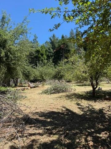 1869 Hwy 4, Arnold, CA 95223