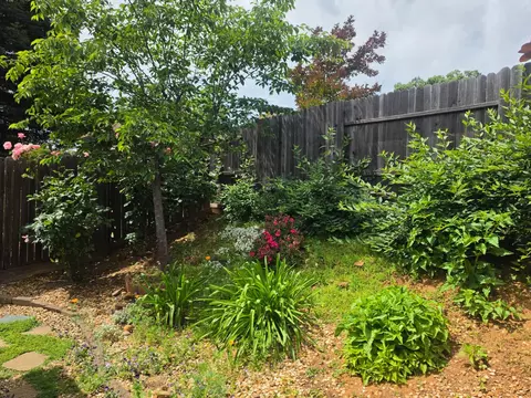 Exterior - 4276 Monhegan Way, Mather, CA 95655 photo 3 of 5