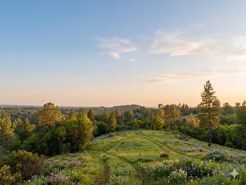 1285 Cosens Ln, Placerville, CA 95667 photo 4
